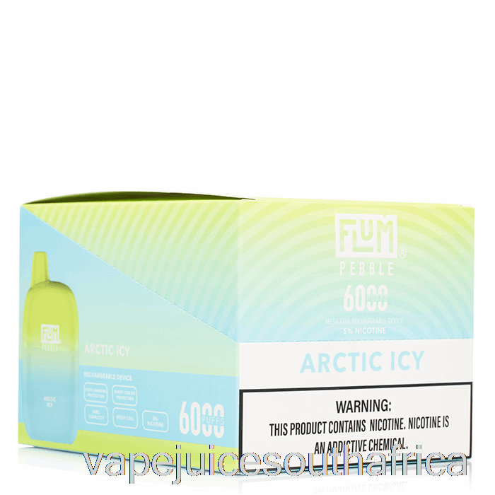 Vape Juice South Africa [10-Pack] Flum Pebble 6000 Disposable